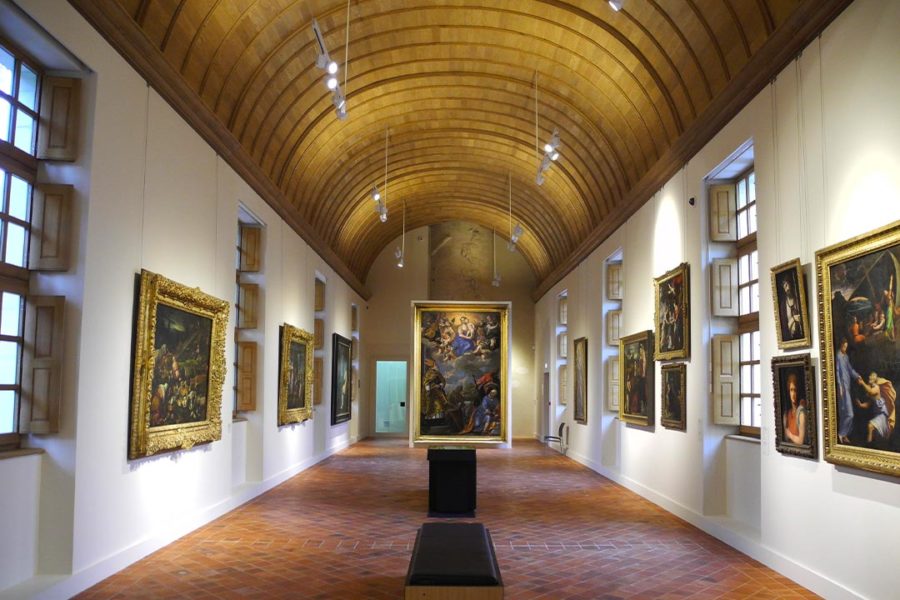 Musée des Beaux-Arts de Dijon (21)