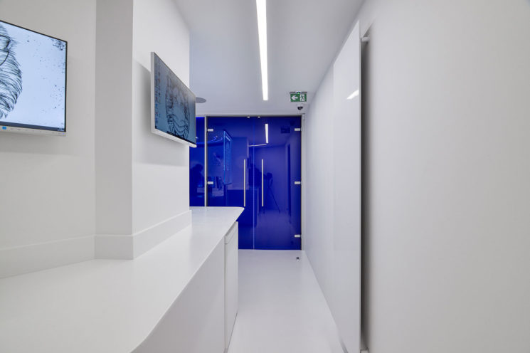 Ceilings smooth fibrous plaster in the laboratory Artdenteck in Lyon