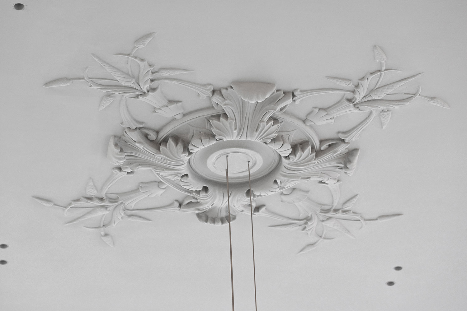 Restauration du plafond en staff et corniches éclairantes à la boutique Chateau de la Chaize de Lyon