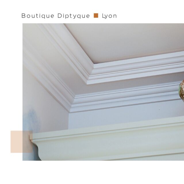 □ #RÉALISATIONS
■ Diptyque, Lyon (69)
Corniches, pilastres et encadrements en staff parent avec douceur l'intérieur de la boutique Diptyque de Lyon. Un agencement plein de charme, élégant et subtile, à l'image de cette maison contemporaine pionnière de la parfumerie depuis 1961. 

Une magnifique réalisation à découvrir en photos sur www.rouveure-marquez.com/realisations

□ Projet : @diptyque
□ Réalisation : Zacharie Agencement
□ Avec l'habillage mural fantasmagorique réalisé par l'artiste @galateemartin 

#PROJECT
Cornices, pilasters and frames made of fibrous plaster  gently adorn the interior of the Diptyque shop in Lyon. An interior decor full of charm, elegant and subtle, like this contemporary house, a pioneer in perfumery since 1961. 

A project to discover on www.rouveure-marquez.com/en/PROJECTS

#corniche #cornice #parfurmerie #diptyque #lyon #élégance #douceur #agencement #architecture #intérieur #decoration #luxe #luxury #interiordesign #design #plafond #ceiling #staffeur #staffeurornemaniste #archilovers #designlovers #picoftheday #pictureoftheday #photooftheday #rouveuremarquez #groupeeto